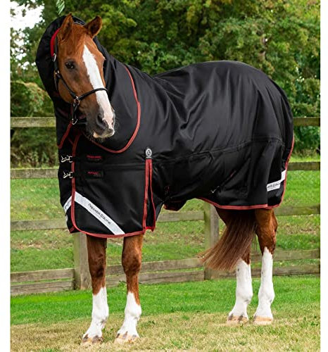 Premier Equine Outdoor-Decke für Pferde mit Nackenrolle Titan 450 g