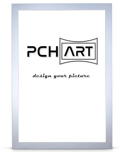 PCH[art] Bilderrahmen New Alaya | Farbe: Aluminium | Größe: 61x91,5 cm | zeitloser und schlichter Rahmen für Poster, Fotos und Portraits
