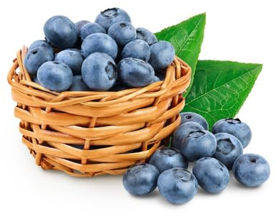 Plantar semillas de arándanos, Plantar arándanos, semillas de plantas, crecimiento rápido Semillas en crecimiento, decoraciones de jardín para exteriores. semillas orgánicas, plantas 100pcs