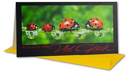 Glückwunschkarte 80 Set mit Umschlägen Gelb - Dankeskarte Motiv Marienkäfer Rot - Klapp-Karte DIN Lang 22,0 x 11,0 cm - Grußkarte für Geburtstag Hochzeit Geburt Taufe Kommunion Ruhestand