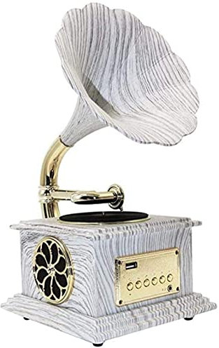 ROLTIN Tourne-Disque, Gramophone, Mini phonographe stéréo Bluetooth, Petit Haut-Parleur stéréo Bluetooth pour Salon