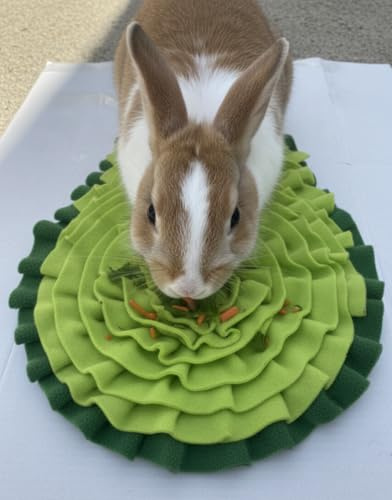 2 Stück Avocado-förmige und farbige süße kleine grüne Schnüffelmatte für kleine Hunde und Katzen, 41 x 30 cm, Schnüffel- und Futtermatte