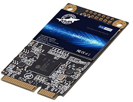 MSATA SSD 1 TB Dogfish Unit?di stato solido interno unit?disco rigido ad alte prestazioni per computer portatile da scrivania SATA II 6 GB/s SSD (1 TB, MSATA