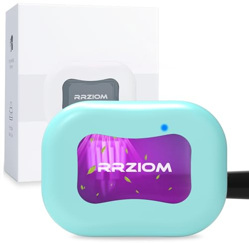 Zahnbürstenhalter, RRZIOM Tragbarer UV Zahnbürsten Sterilisator | Wiederaufladbare Zahnbürstenhalter für Reisen Hause, Toothbrush Holder für Alle Bürsten (Blau)