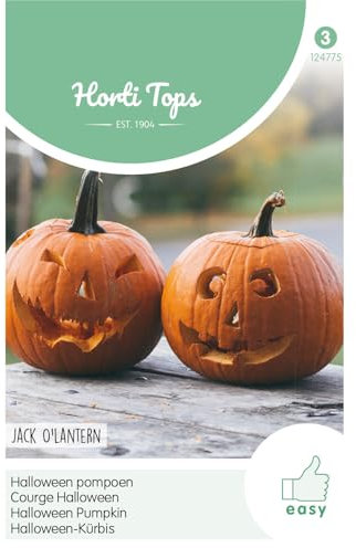 Hortitops 124775 Calabaza de Halloween Jack 'O Lantern (semillas de calabaza de Halloween)