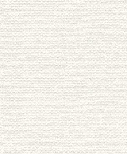 Schellenberg 36001 Rolladengurt 23 mm x 6,0 m System MAXI, Rollladengurt, Gurtband, Rolladenband, beige