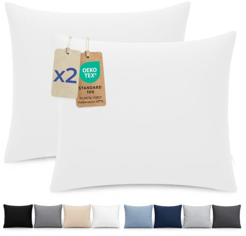 Dreamzie Funda Almohada 65x65cm - Lote de 2 de Microfibra con Cremallera Certficadas Oeko Tex - Funda Almohada Suave y Cepillada - Blanco