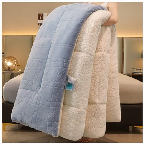 ZTGL Flauschige Kaschmir Steppdecken, Antiallergisch Bettdecke, Erdicken Sie Lamm Kaschmir Decke, Mikrofaser Steppdecke, Doppelseitig Plüsch Steppdecken,Blau,150X200cm(2.5kg)