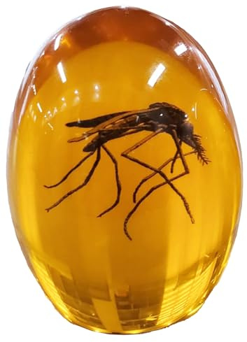 VEOJEIN Mosquito jurásico en ámbar | Insecto 2D detallado Recubierto de Resina Duradera coleccionistas y entusiastas | Pisapapeles, Efecto Envejecido, Adorno de Escritorio