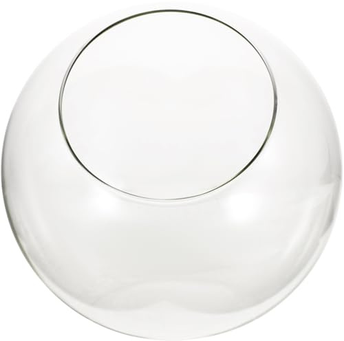 MILISTEN Glas Terrarium Für Moos Kreative Desktop Mikrolandschaft Flasche DIY Leere Vase Für Zuhause Elegante Deko Für Garten Und Events Einfach Zu Reinigen