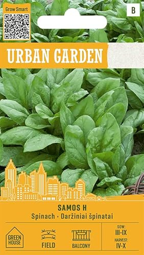 Organic Way | Épinard - SAMOS H Graines de légumes | Épinard hybride très productif | Feuilles vertes juteuses pour salades, soupes et congélation | Pour printemps, été et automne | 1 sachet