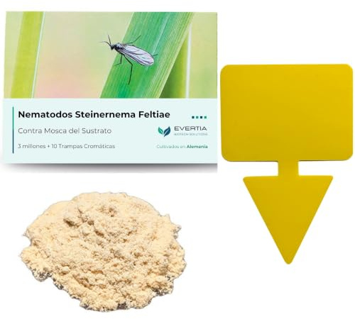 EVERTIA Nematodos contra Mosca del Sustrato (3M) + Trampas Amarillas Adhesivas (10 Unidades) contra Mosquitos de los Hongos, Moscas del Mantillo
