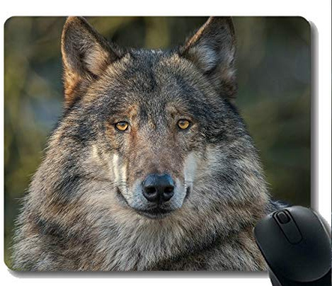 Spiel-Mäusematte, Tierwolfmänner Mousepad Rutschfester Gummiunterlage