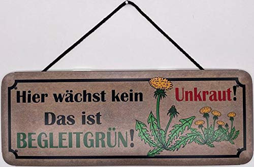 Blechschild mit Kordel 27 x 10 cm Garten Spruch: Hier wächst kein Unkraut ! Das ist Belgeitgrün ! - Blechemma
