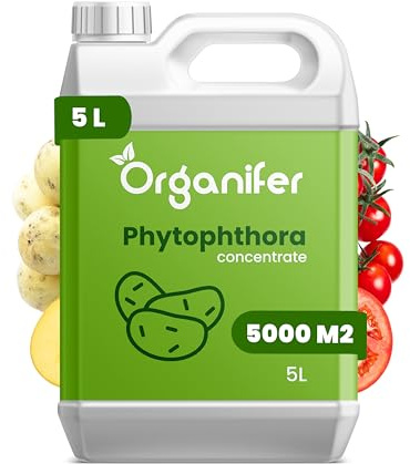 Concentré Phytophthora - 5 L Pour 5000 M2 - Produit Pour Pommes De Terre Et Tomates - Entretien Des Plantes - Engrais Végétal - Organifer