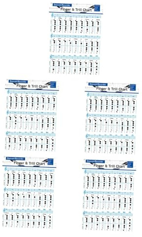 Toyvian 5pezzi Flute Chord Chart Per Principianti Grafico Di Pratica Per Flauto Coated Paper Guida Facile Alle Note e Agli Accordi Per Studio Classe e Riferimento Rapido