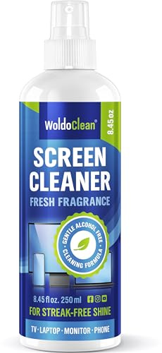 Detergente per schermo piatto, TFT, computer portatile, 250 ml spray