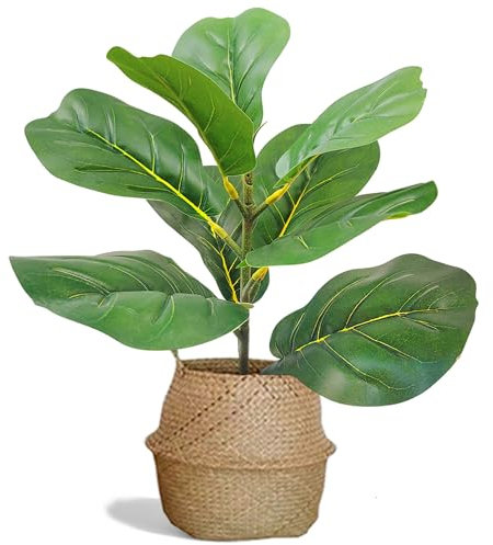MUMANRO Kleiner künstlicher Feigenbaum, Feigenbaum, künstlicher Ficus Lyrata für drinnen und draußen, Büro, Zuhause, Geschäft, Bauernhaus-Dekoration (43,2 cm)