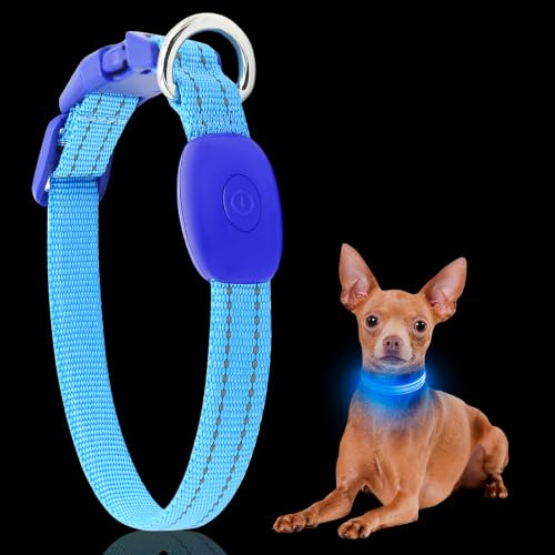 YFbrite Light up Dog Collar, Rechargeable LED Dog Collar, Flashing Dog Collar, Adjustable Reflective Dog Collar Safety Glowing at night (Blue, Small)