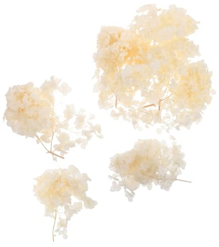 TOYANDONA Pétales D'Hortensia Immortels Centre De Table Décorations Pétales De Fleurs pour Demoiselle d'honneur Fleurs Séchées