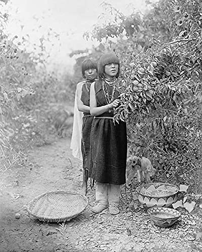 Tewa Girls Fruit Gatherers Edward S. Curtis 11x14 Photograph Photo Print