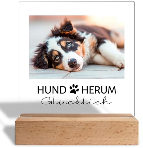 True Statements Personalisiertes Foto Geschenk für Hundebesitzer: Acrylaufsteller mit eigenem Bild, Geschenke für Hundeliebhaber Haustiere- Acrylglas inkl. Holzsockel - 15x18 cm (Hund Herum)
