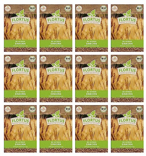 FLORTUS BIO Einkorn Getreide Samen 900g | Alte Sorten robustes Urgetreide zur Herstellung von Nudeln Brot Sauerteig & Microgreens | Sprossen Samen