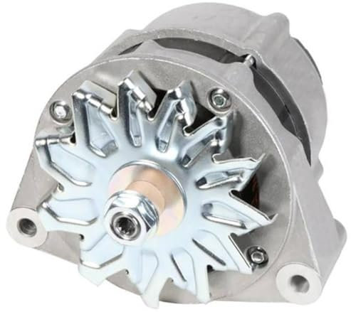 Galloparts 95A Lichtmaschine 14V 236251GT 236251 Kompatibel mit Genie Lift GS-3384 GS-3390 GS-4390 GS-5390 S-40 S-45 S-60 S-65 S-80 Z-45XC Teleskoplader GTH-1056 GTH-1056 GTH-6366 GTH-844