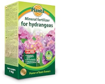 Hydrangea Fertiliser 1kg Mineral Plant Food for Strong Growth & Blooms