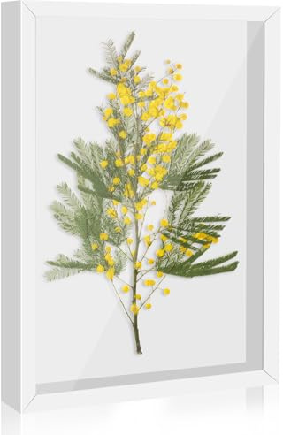 Byffoer 3D Bilderrahmen zum Befüllen,Bilderrahmen Tief 20x29 cm 3D Objektrahmen Tiefer,Bilderrahmen tief zum Befüllen für Objekte für Fotos Blumen Souvenirs und DIY Kunsthandwerk