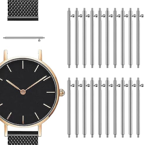 AEUXZA 20 pezzi Barre Molla Sgancio Rapido, Acciaio Inossidabile, Perni di Ricambio per Smartwatch, Montaggio Senza Attrezzi, Resistenti alla Ruggine, con Cinturino (14, 16, 18, 19, 20, 21, 22, 24mm)