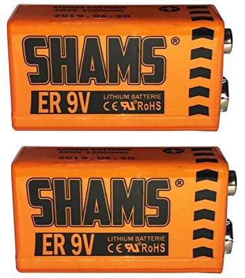 Lote de 2 pilas de 9 V LlTHLUM 1200 mAh 6F22 6LR61 6KR61 con pilas PP3 | No recargable