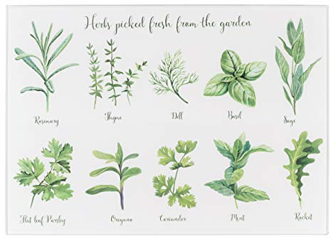 Tala Protecteur de Plan de Travail en Verre Trempé Herbs, Antidérapant, Multifonction, Dimensions 30cm x 40cm