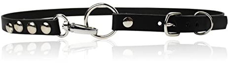 FRONHOFER schmaler Nieten Gürtel Damen 2 cm aus Leder mit Ringverschluss, Nietengürtel 18836, Größe:Körperumfang 100 cm/Gesamtlänge 115 cm, Farbe:Schwarz