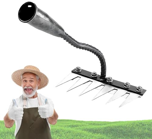 Rateau pour DéSherber avec Manche, Radeau De Desherbage Berthaus avec Manche pour Jardinage Et DéSherbage (6 Dents)