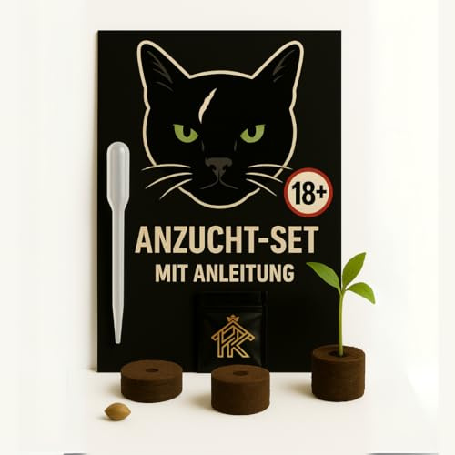 HOMEKING Set da coltivazione – Set di 3 pezzi premium per interni e davanzale – con Jiffy, pipetta e istruzioni – discreto, biologico e adatto ai principianti (CW_3)