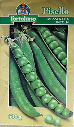 PISELLO PISELLI LINCOLN SEMI SEMENTI SEEDS PICCOLI KG. 0,5 - GR. 500 L'ORTOLANO