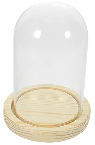 Base Espositiva in Vetro con Cupola, Legno Rotondo per Fiori Secchi | Casa e Caffetteria, Lavorazione Fine, Antiscivolo, Resistente alla Deformazione, Effetto Naturale