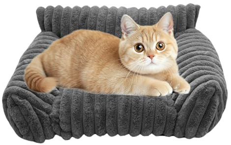 Qkbuza Canapé-lit orthopédique pour chat - 50 x 40 x 20 cm - Moelleux et lavable - Avec dessous antidérapant - Pour chiens et chats de petite et moyenne taille