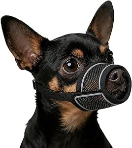 Museruola per Cane, Museruola per Cani in Nylon, Rete Traspirante Museruolas Morbida per Cani Prevenire Morsi Abbaiar Masticare, Museruolas Cane Regolabile per Cani di Taglia Piccola Media Grande (S)