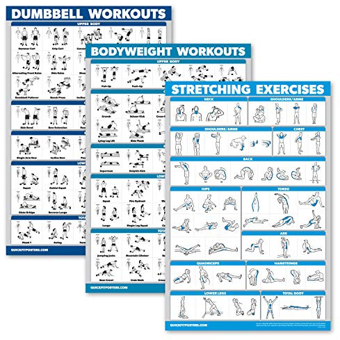 Palace Learning QuickFit 3er-Pack – Hanteltraining + Körpergewichtsübungen + Dehnungsroutine Poster Set – Set mit 3 Workout-Diagrammen (laminiert, 45,7 x 61 cm)