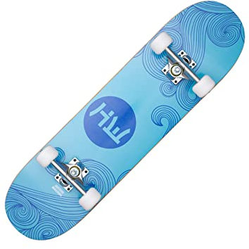 HIDETOSHI WAKASHIMA Street Skateboard 31 x 8 Zoll - Komplettboard für Einsteiger aus stabilem Holz und Aluminium, geeignet für Kinder, Teenager und Erwachsene mit verschiedenen Motive (Minami)