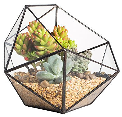 NCYP 17x17x17cm Handmade Blumentopf, Geometrisches Glasterrarium, in Form Einer Halbkugel, für Balkon, Tischdeko, als Blumentopf für Miniatur-Bonsai, ​Übertopf für Sukkulente (ohne Pflanzen)