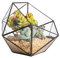 NCYP Terrario per Piante Geometriche in Vetro Moderno, Fatto a Mano a Forma di Mezza Palla Vaso da Fiori, davanzale Trasparente Centrotavola Decor Fioriera per Piante Grasse (Nessuna Pianta Inclusa)