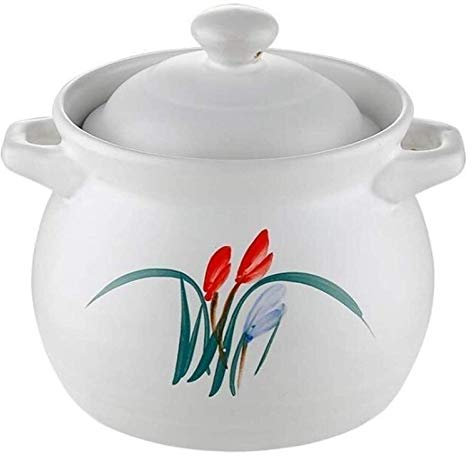 Olla de Barro para cocinar Cazuela de Horno de Hierro Fundido esmaltado Asas de Bucle Grandes y condensación automática (2.6L)