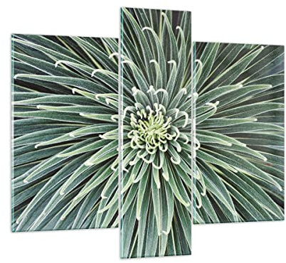 Moderno Quadro su Vetro 95x80 cm Stampe da Parete Botanica Fiori - 4905