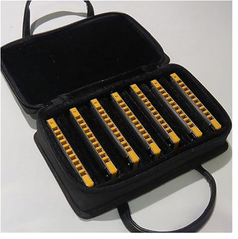 Anfänger Mundharmonika Diatonische Mundharmonikas, 10 Löcher, 20 Töne, 7 Tasten, Mundharmonika-Set Für Mundharmonikaspieler