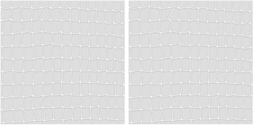 TRIXIE 44313 Schutznetz, 3 × 2 m, transparent (Packung mit 2)