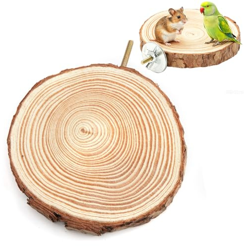 Aves Percha Plataforma, Loros de madera Ronda Percha Plataforma Pájaros Mordiendo Juguete Jaula Accesorios, Pájaros loros hámster de pie Actividad Parque infantil