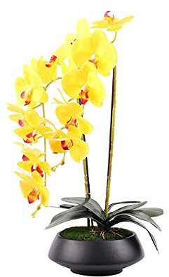 SdaryWare Fiori Artificiali, Orchidea Finta Gialla in Seta, Bonsai, Phaleanopsis con Vaso in Ceramica Nera, Orchidea Artificiale per la Decorazione di casa e Ufficio, Fiori AR,A-S